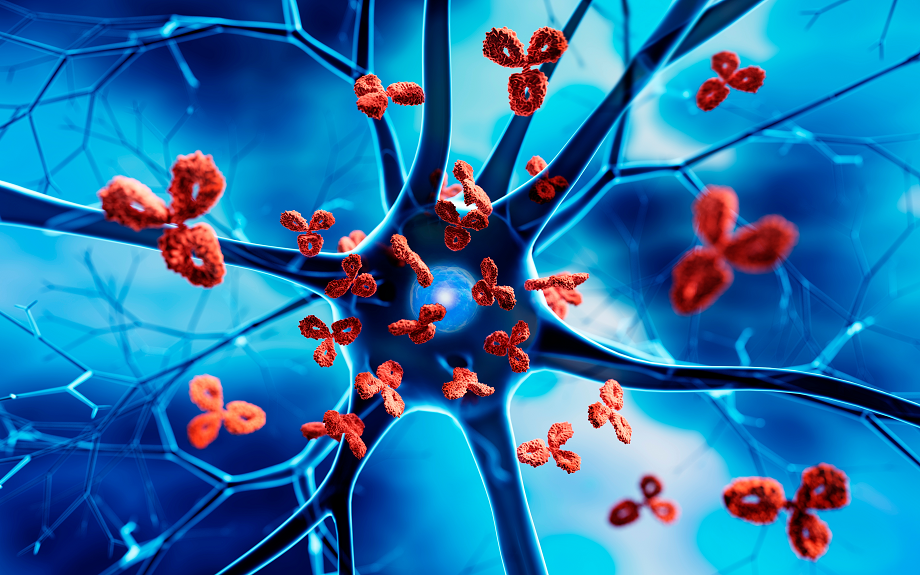 Autoimmune Disorders and Disability Benefits: Navigating Claims With Confidence